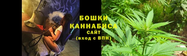 прущие грибы Зеленодольск