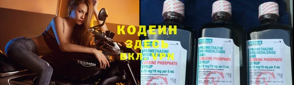 прущие грибы Зеленодольск
