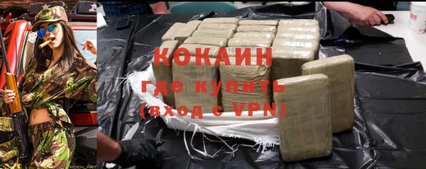 прущие грибы Зеленодольск